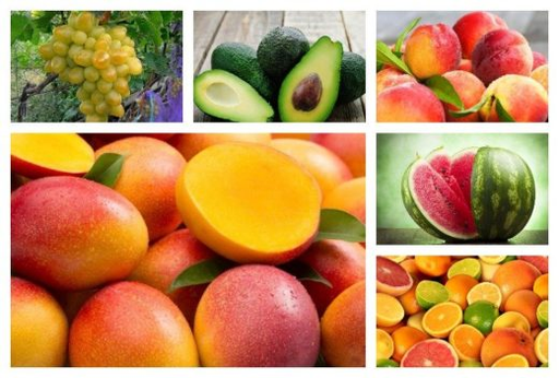 Fruit for power